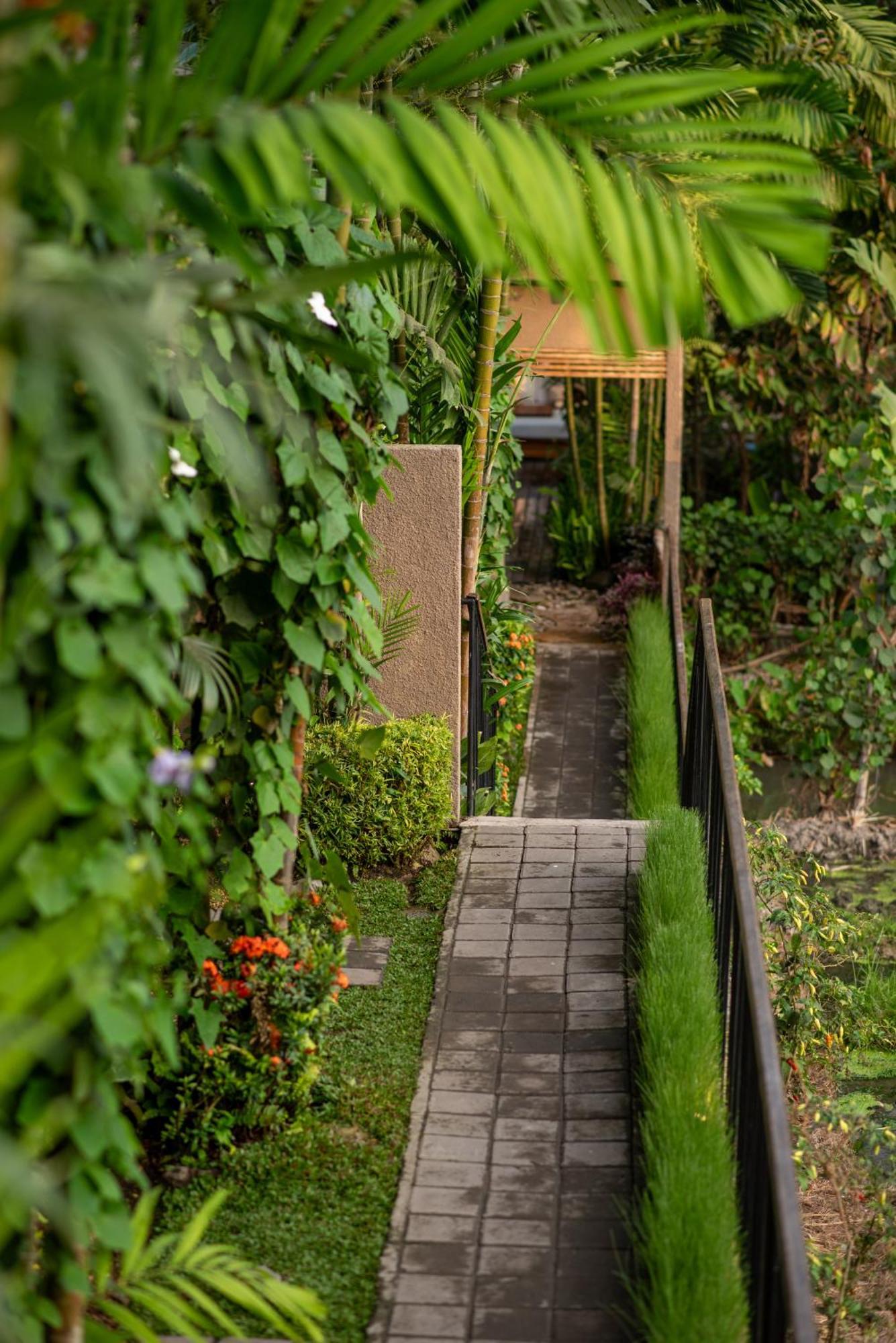 Pangkung Sari Bed And Breakfast Canggu Exterior foto