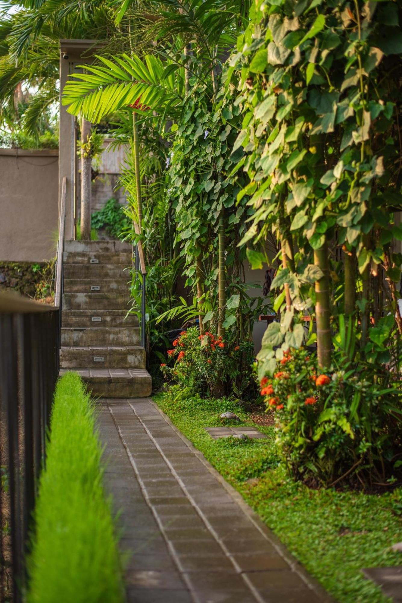 Pangkung Sari Bed And Breakfast Canggu Exterior foto