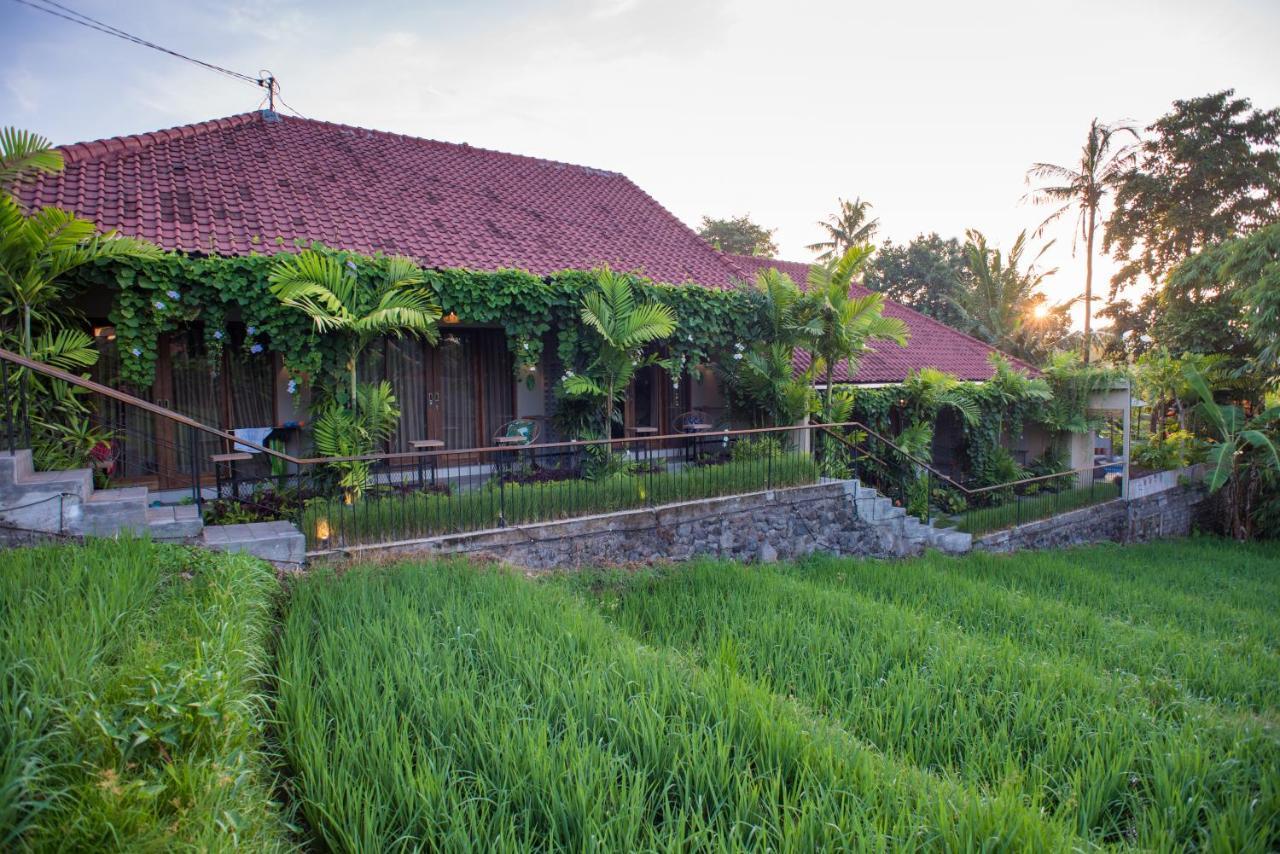 Pangkung Sari Bed And Breakfast Canggu Exterior foto